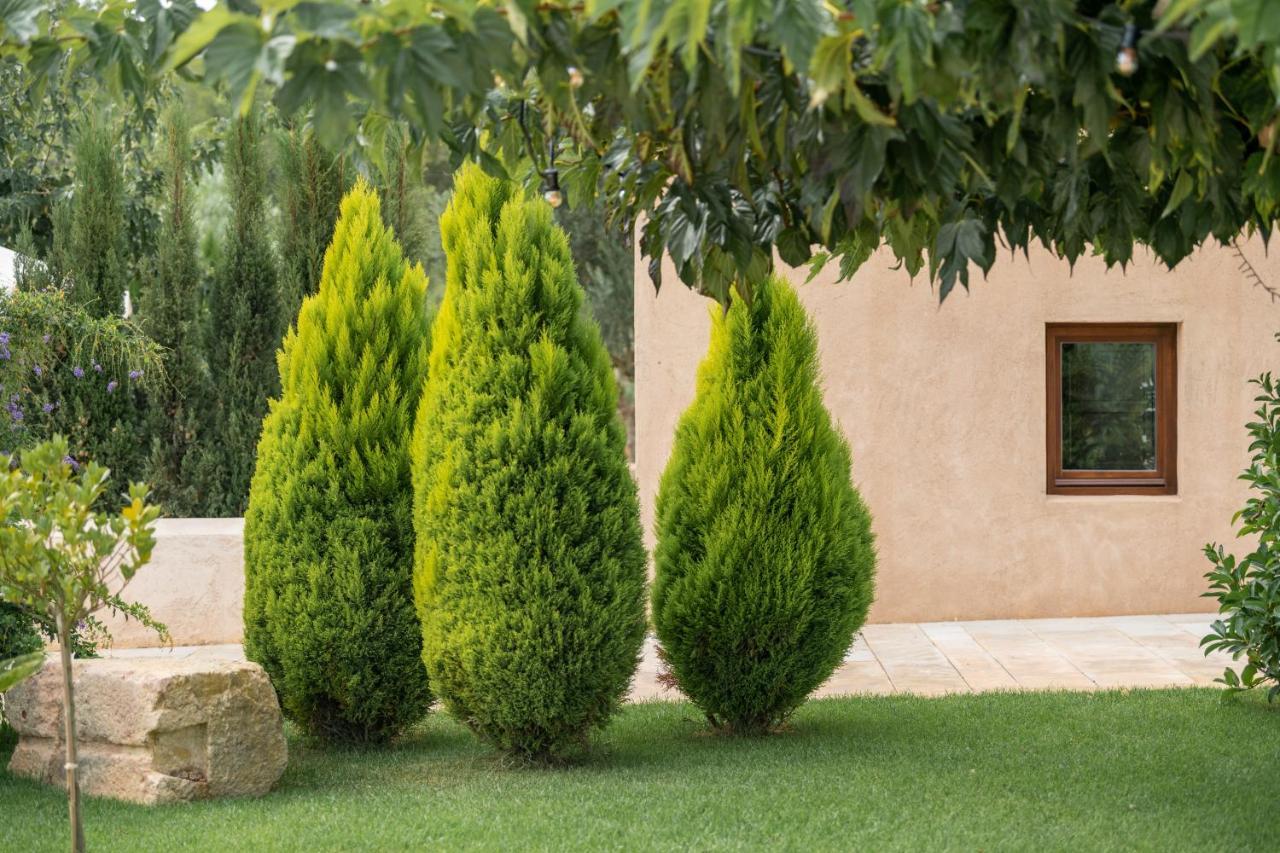סנט לורנס דה בלפיה Agroturismo Safragell Ibiza Suites & Spa מראה חיצוני תמונה