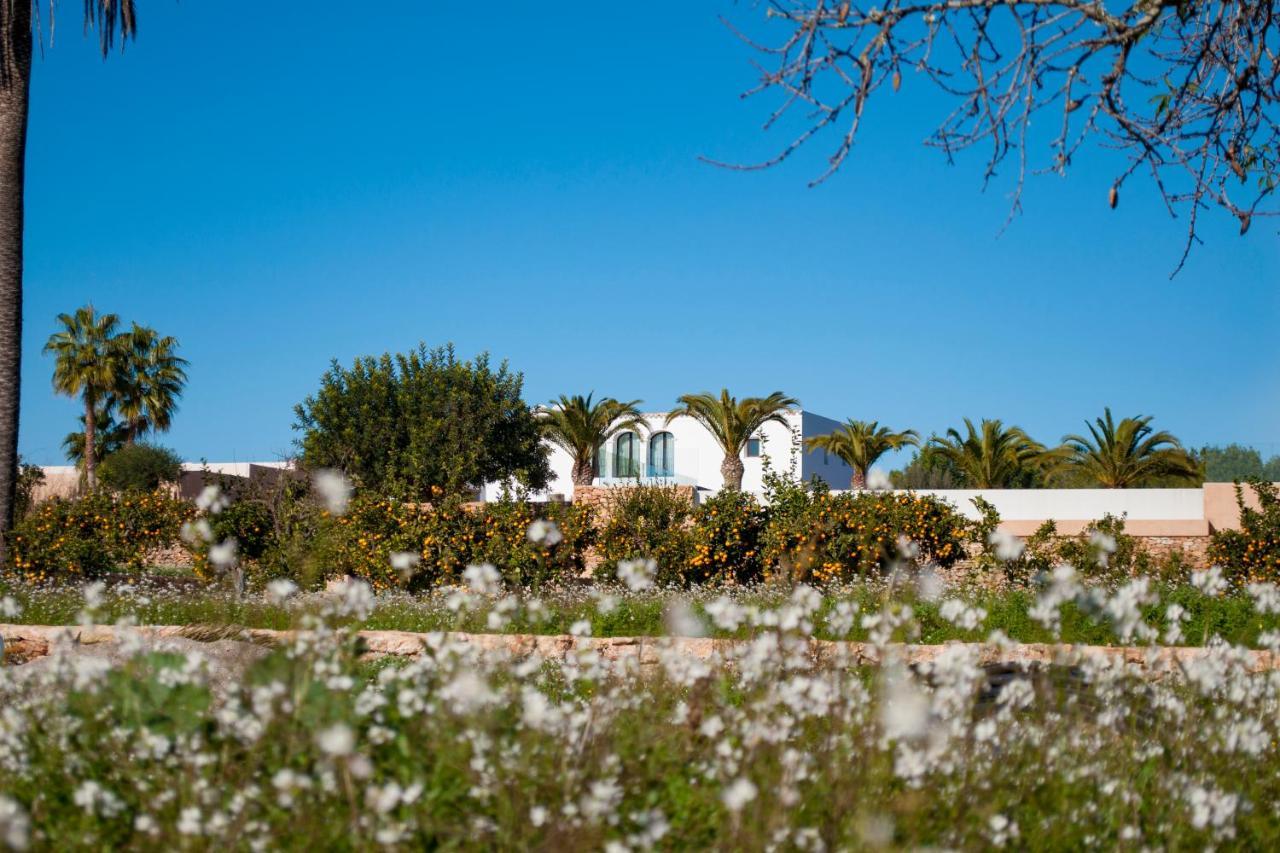 סנט לורנס דה בלפיה Agroturismo Safragell Ibiza Suites & Spa מראה חיצוני תמונה